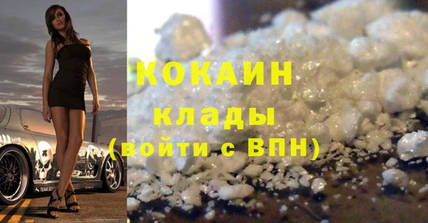 стаф Надым