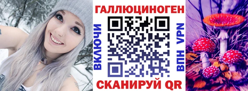 где продают   darknet телеграм  Псилоцибиновые грибы GOLDEN TEACHER  Холм 
